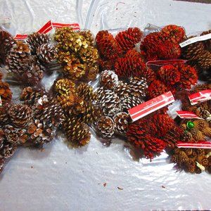 Home Decor Pine Cones Christmas Red Gold Silver White 22 Packages LOT
